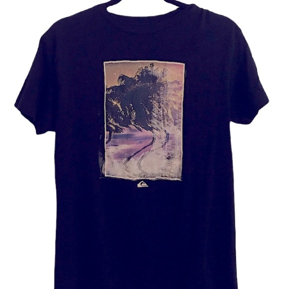 Quiksilver Other - 🌵Quicksilver T-Shirt Size M